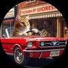mustangkitty
